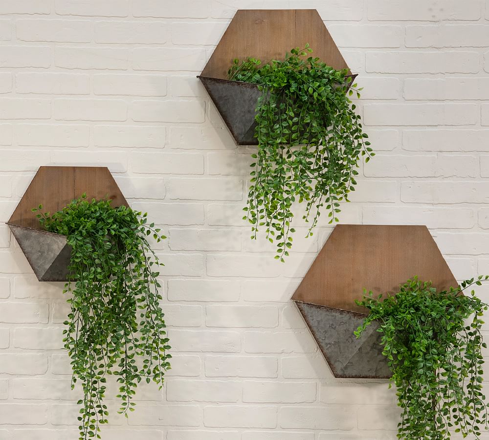 Naomi Pine Wood Wall Mounted Planters, Set of 3