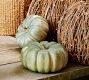 Faux Pumpkins &amp; Gourds