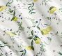 Monique Lhuillier Positano Percale Pillowcases - Set of 2