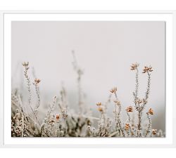 In The Details II Framed Print By Annie Spratt