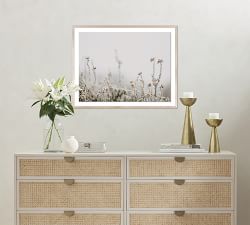 In The Details II Framed Print By Annie Spratt