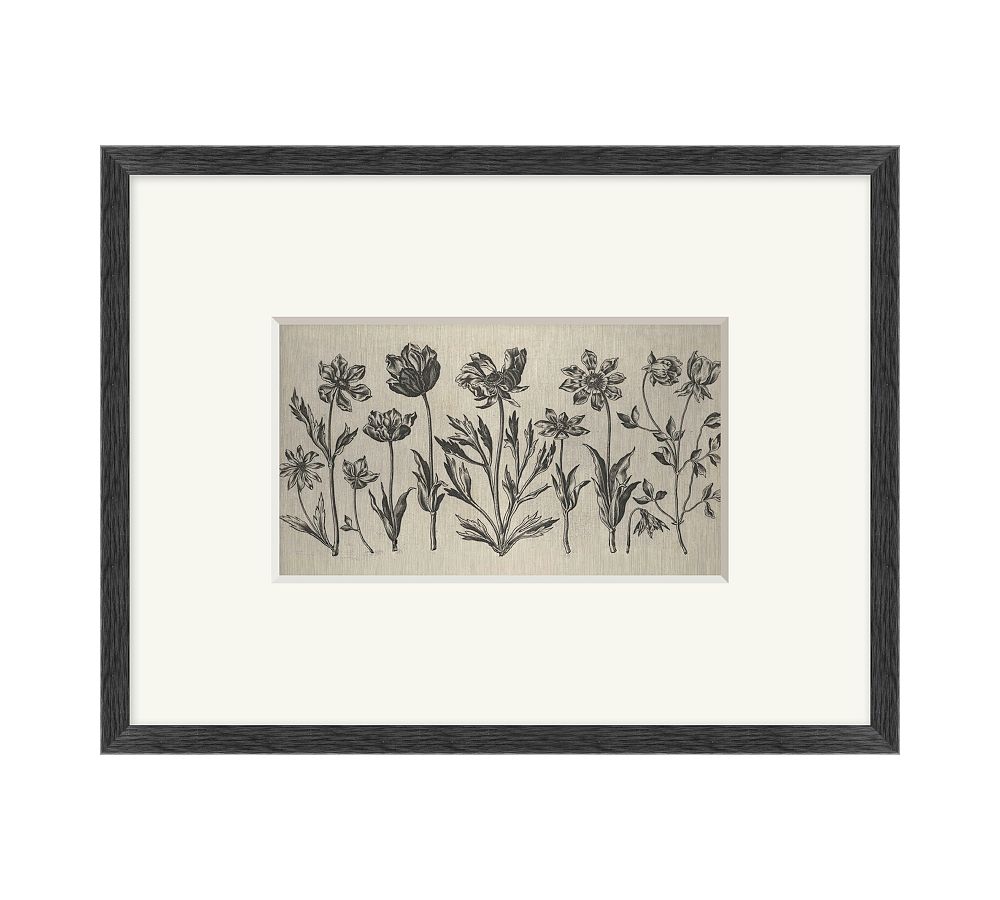 Floral Etching Framed Print