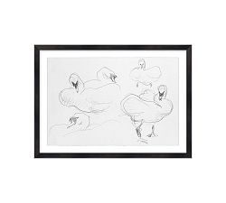 Swan Drawing Framed Print