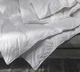 Westin&#174; Down Duvet Insert