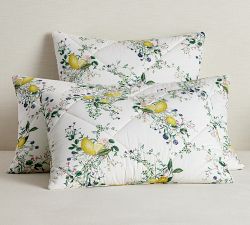 Monique Lhuillier Positano Percale Comforter