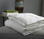 Westin&#174; Down Duvet Insert