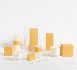 White Cedar Citrus Scent Collection