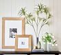 Faux Dracaena Branch
