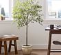 Faux Potted Triangular Ficus
