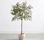 Faux Potted Triangular Ficus