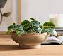 Palermo Planters