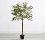 Faux Potted Triangular Ficus