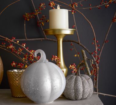 Shop All Halloween