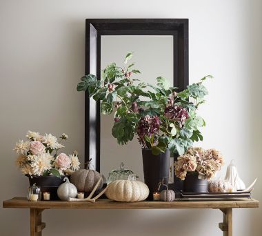 Shop All Harvest