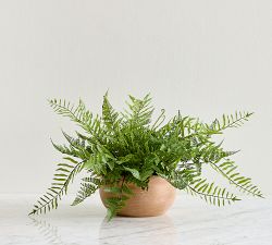 Faux Composed Mixed Fern