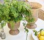 Huntington Rattan Pedestal Vase