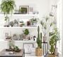 Faux Potted Pothos Houseplant
