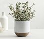 Quinn Stoneware Outdoor Planters