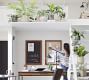 Faux Potted Pothos Houseplant