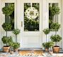 Lit Faux Boxwood Topiary