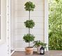 Lit Faux Boxwood Topiary