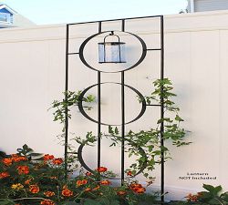 Theodora Trellis