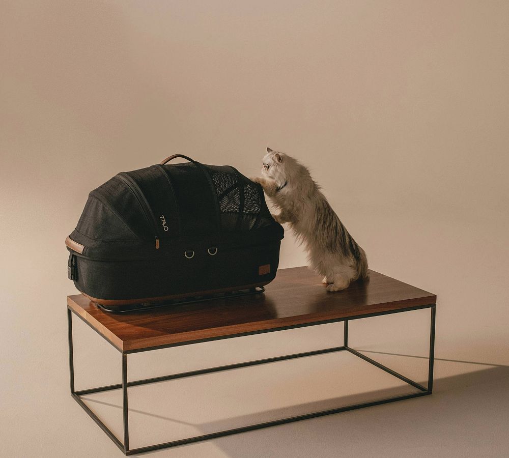 Tavo Maeve&#8482; + Roscoe&#8482; 3-In-1 Pet Protection System, Medium Flex