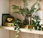 Faux Glass Composed Fern