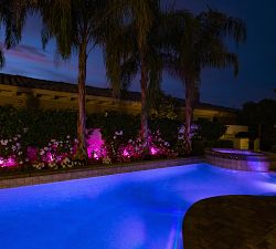 Full Size LED Landscape Lights