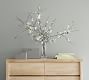 Aegean Clear Glass Vases