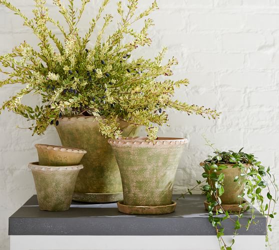 Provence Scalloped Edge Outdoor Planters - Moss