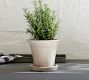 Provence Scalloped Edge Outdoor Planters - Clay