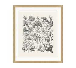 Illustrated Floral Shades Framed Print