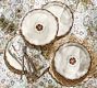 Julia Berolzheimer May Dinner Plates - Set of 4