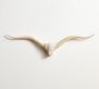 Longhorn Wall Art