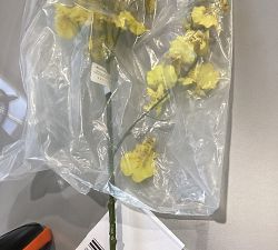 Open Box: Faux Olive Branch