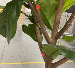 Open Box: Faux Fiddle Leaf Fig Tree, 8'