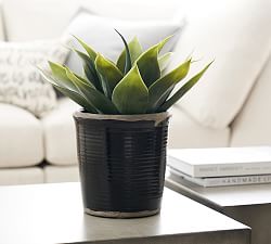 Faux Aloe Vera Plant