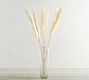 Dried Pampas Grass Branches - Set of 3