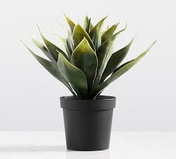 Faux Aloe Vera Plant
