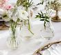 Monique Lhuillier Glass Bud Vases - Set of 3