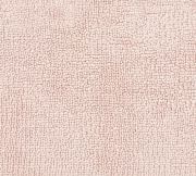 Soft Rose