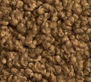 Teddy Faux Fur