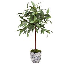 Open Box: Faux Long Eucalyptus In Printed Cachepot - Green