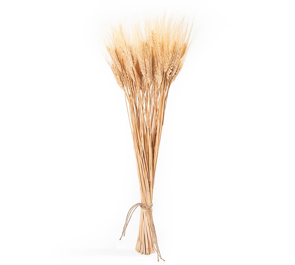 Dried Wheat Bundle