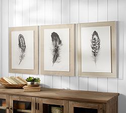 Feather Wall Art