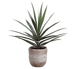 Open Box: Faux Potted Yucca Plant