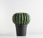 Faux Barrel Cactus