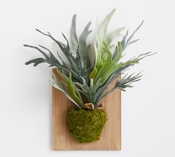 Faux Mounted Staghorn Ferns