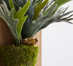 Faux Mounted Staghorn Ferns